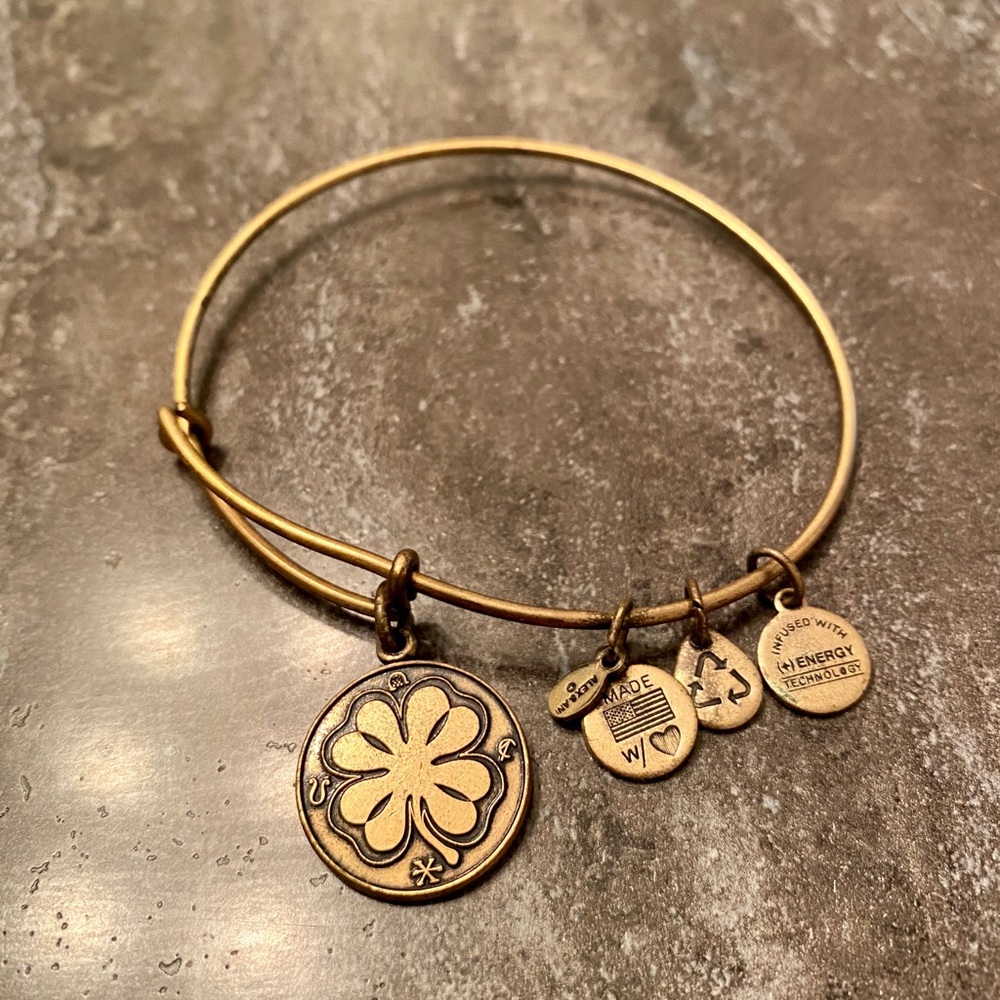 Alex and Ani Bangle
